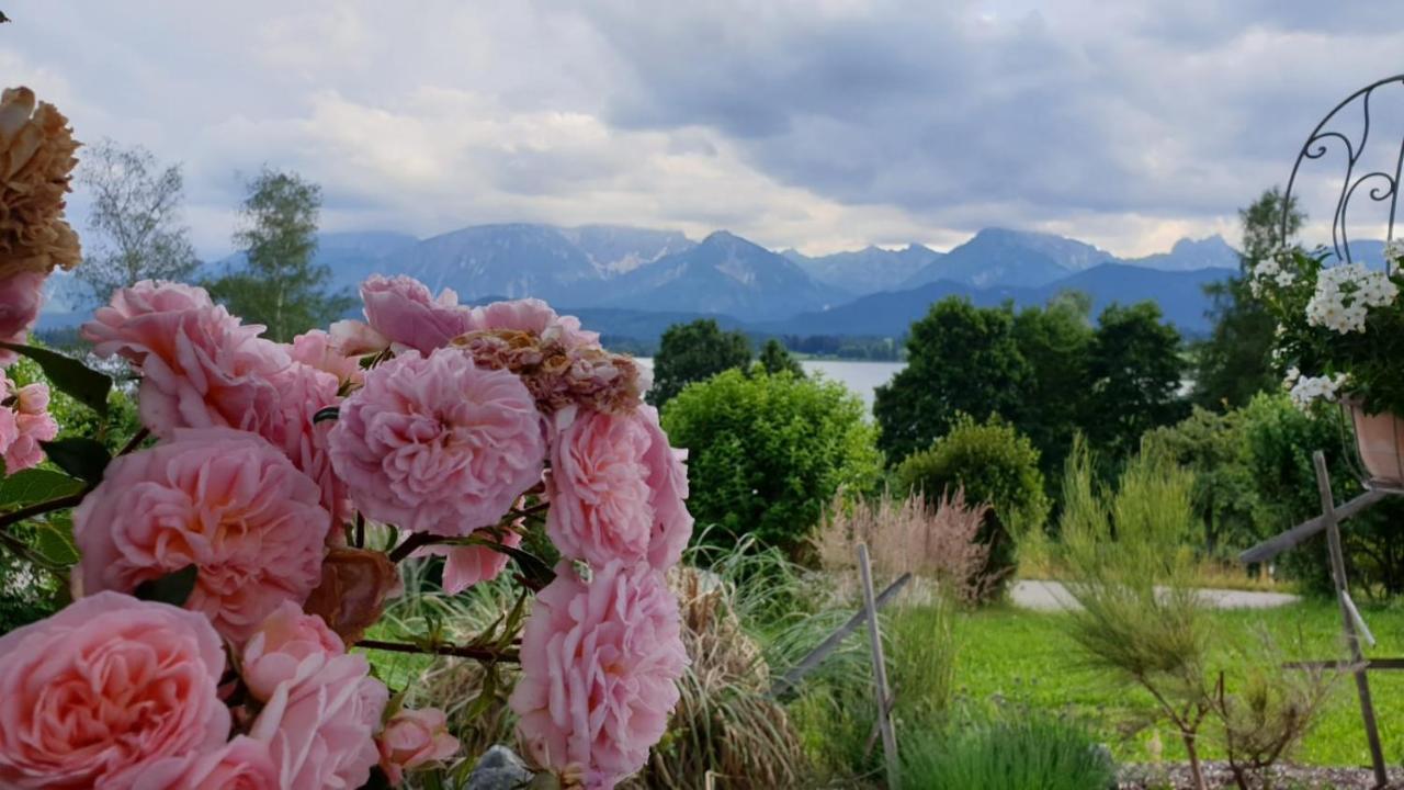 Landhaus Amberg Hopfen Am See // Hopfensee // Fuessen מראה חיצוני תמונה